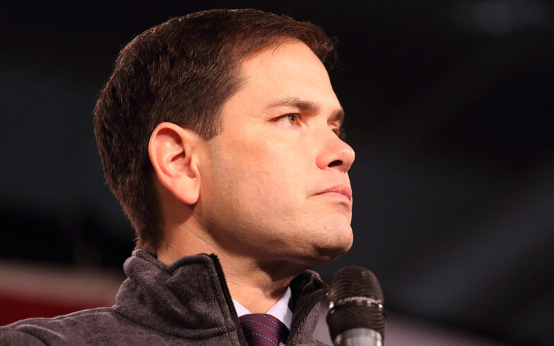 marco rubio books