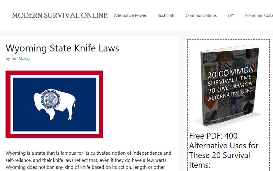 modernsurvivalonline.com